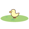 ピヨミン