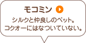 モコミン シルクと仲良しのペット。コクオーにはなついていない。